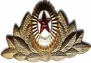 Russian Officer Badge